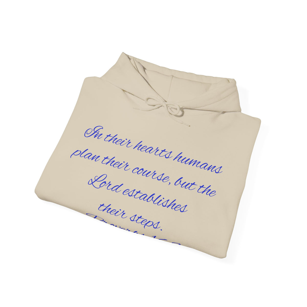 Christian Faith Hoodie — Proverbs 16:9 Inspirational Pullover with Vintage Signback Graphic