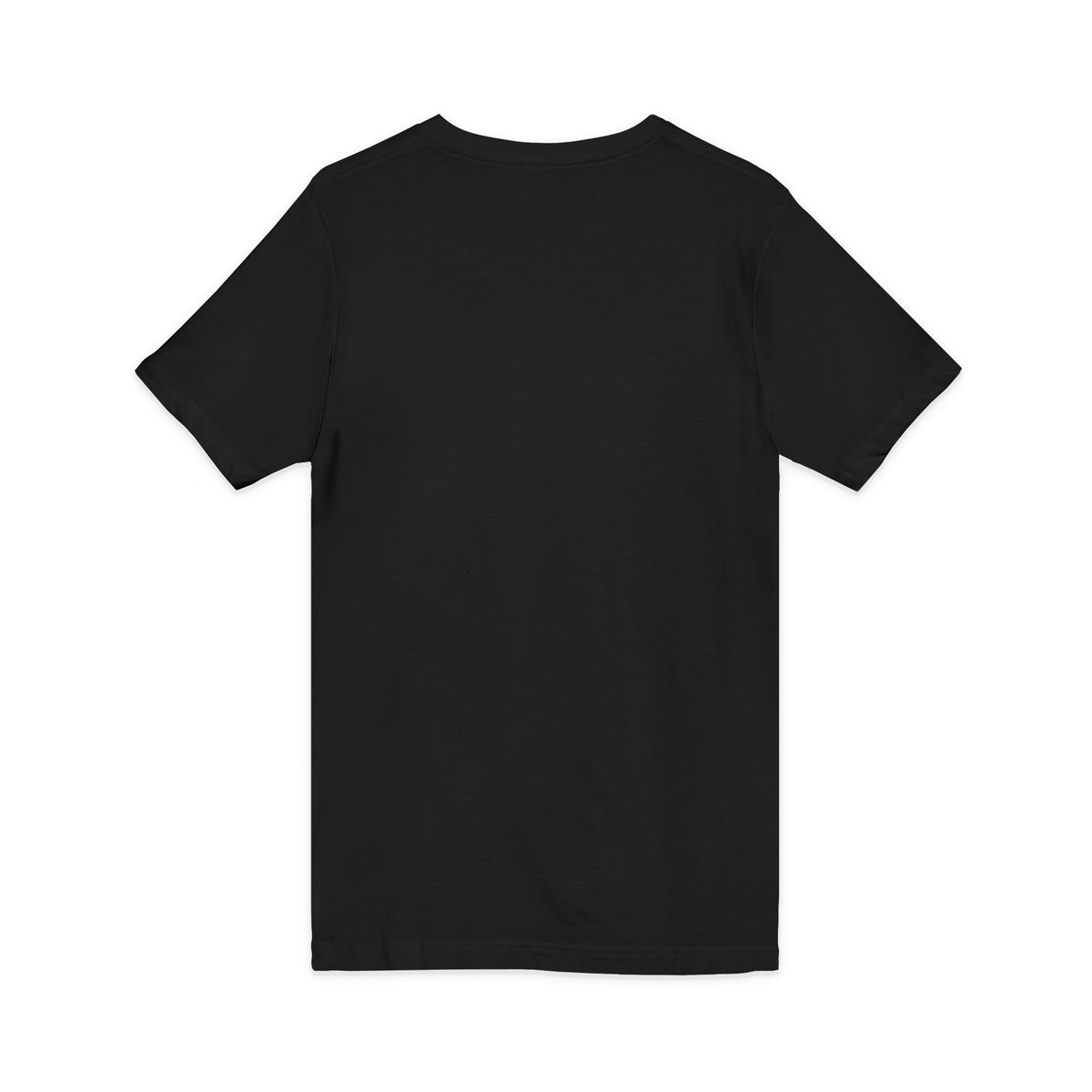 Friendship Panthers Mascot V-Neck Tee — School Spirit Sports T-Shirt