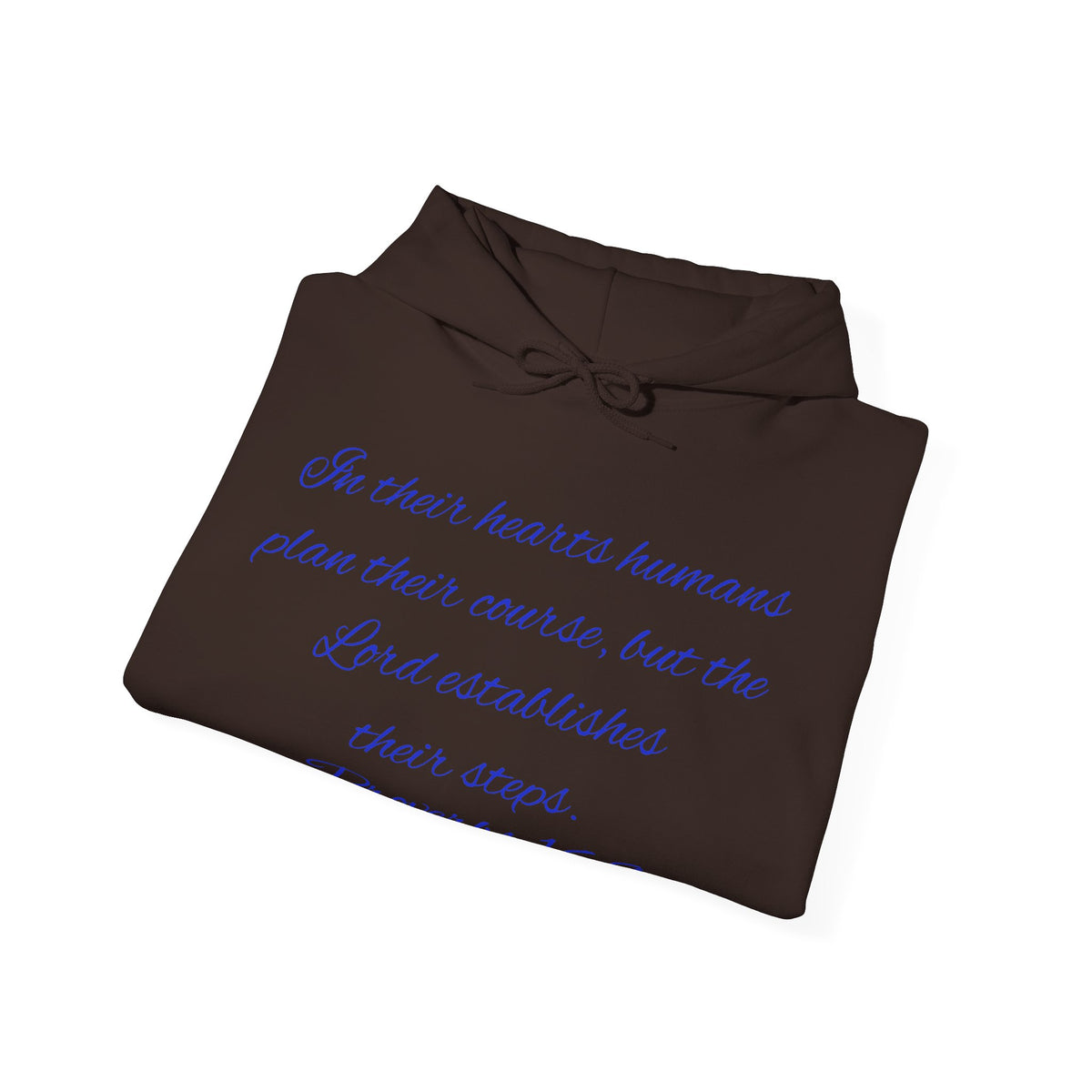 Christian Faith Hoodie — Proverbs 16:9 Inspirational Pullover with Vintage Signback Graphic