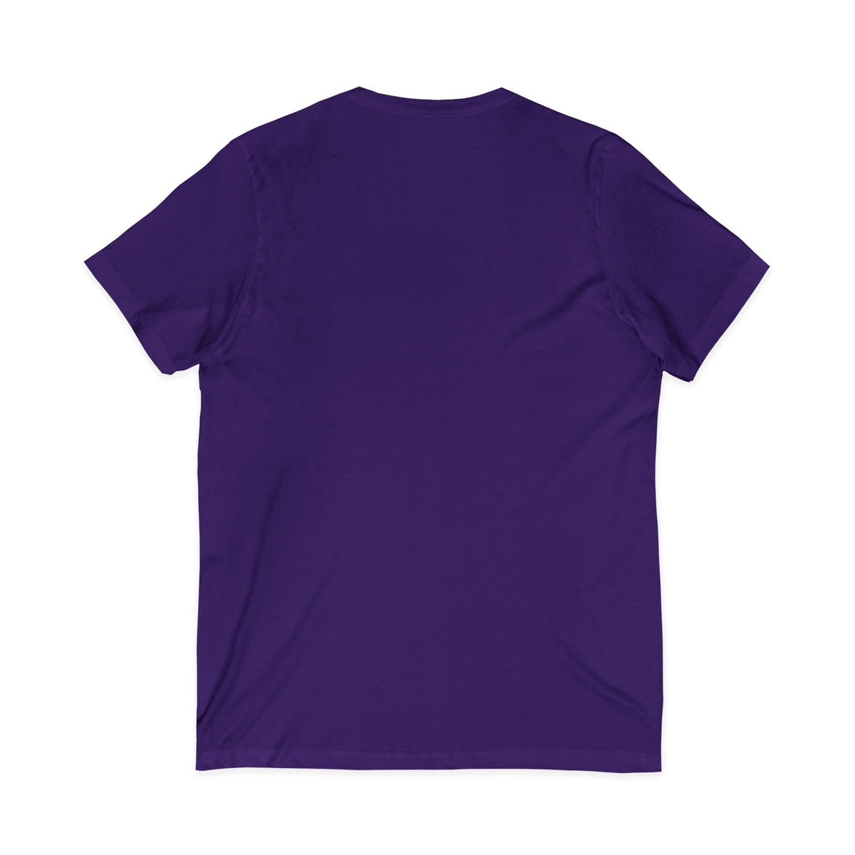 Friendship Panthers Mascot V-Neck Tee — School Spirit Sports T-Shirt