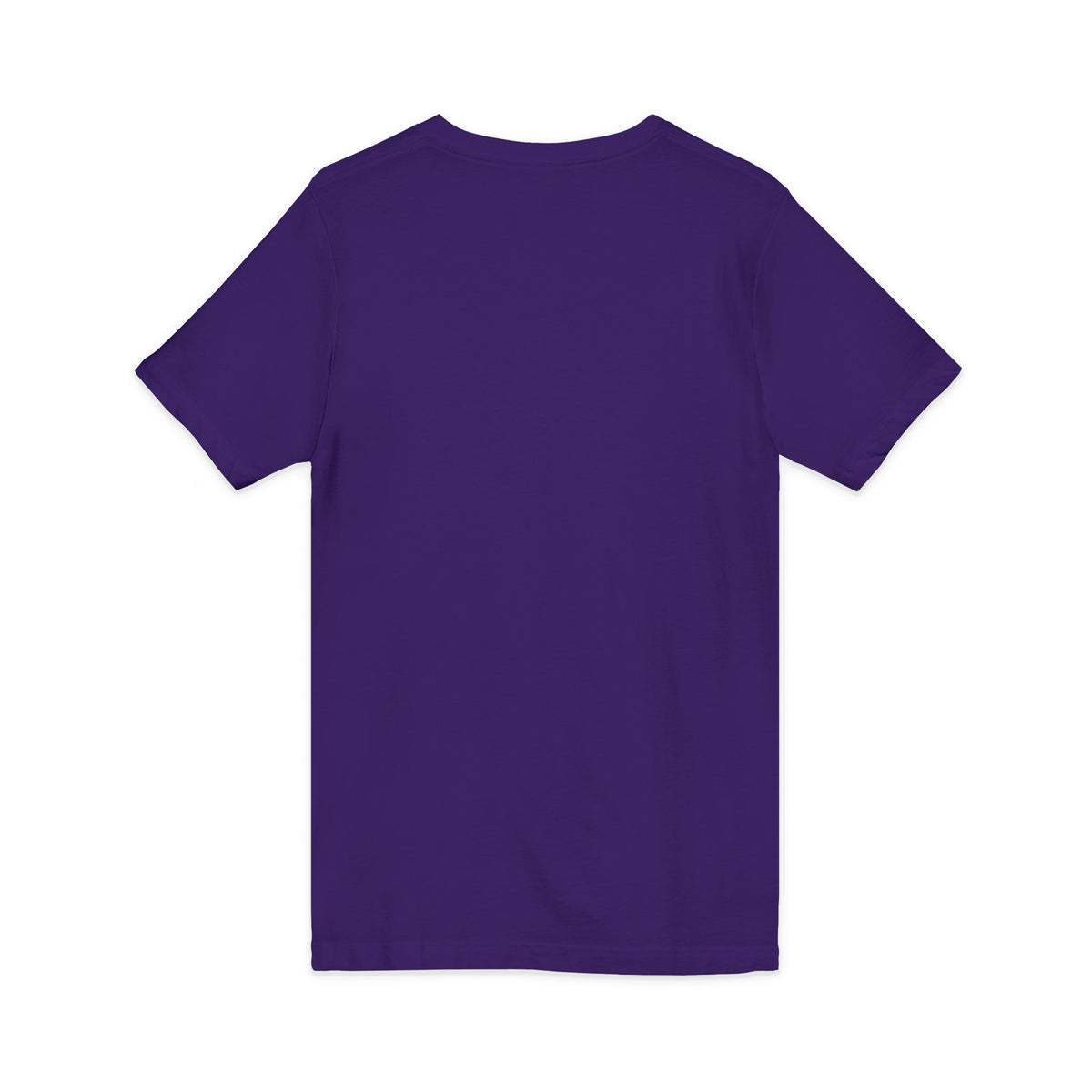 Friendship Panthers Mascot V-Neck Tee — School Spirit Sports T-Shirt